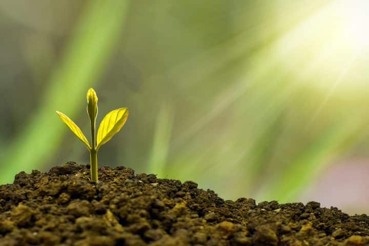 découvrez l'univers de la finance avec nos conseils d'experts, analyses de marché, et stratégies d'investissement pour gérer et faire fructifier votre patrimoine. restez informé sur les dernières tendances financières et optimisez vos choix économiques.